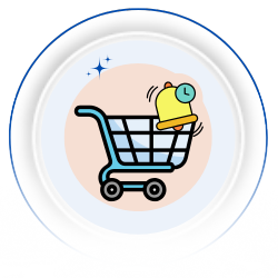 Abandoned Cart Reminders